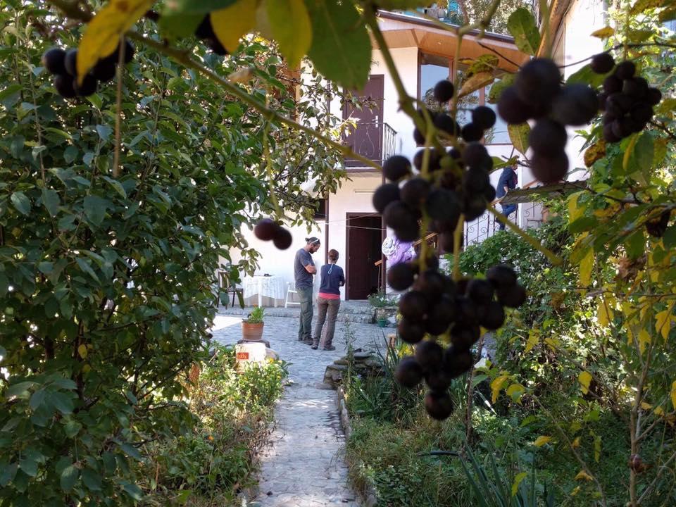 Nina B&B Dilijan Exterior photo